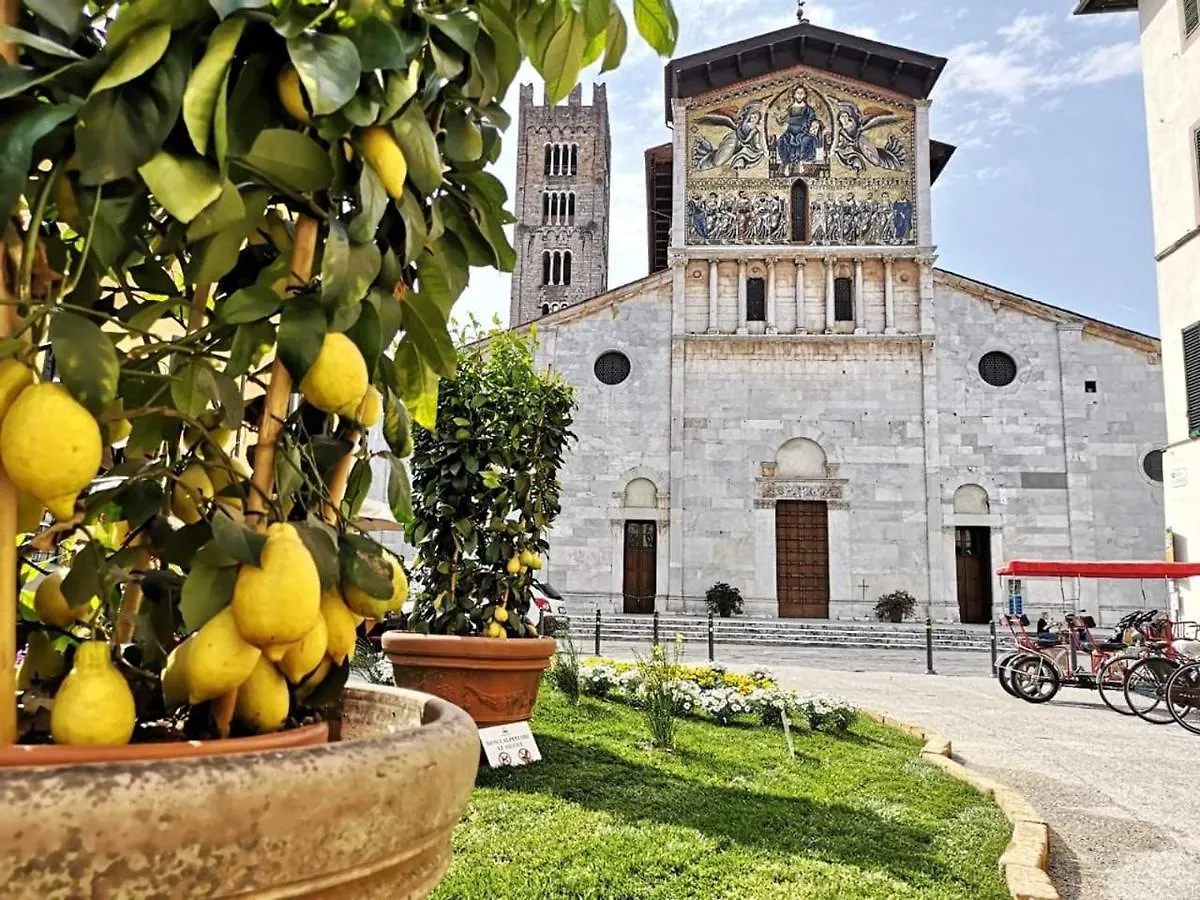 Appartamento Lucca in Corte